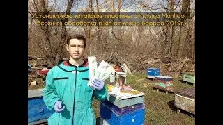 Устанавливаю китайские пластины от клеща Manhao | Весенняя обработка пчёл от клеща Варроа