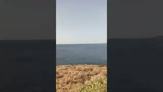 Милоту вам в ленту
