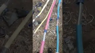 29 июня 2024 г.