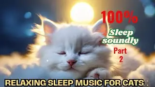 Soothing Relaxation Music for Cats: Help Your Pet Sleep Soundly and Happily!