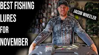 Jacob Wheeler's Top Picks for November - Bass Fishing Lures