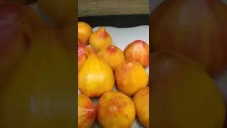 Видели такие!?  Вкусные помидоры!!!!! Люблю я помидоры!