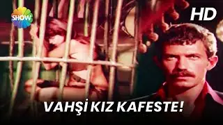 Orhan, 