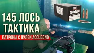 145 Лось 