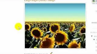 How to Post Large High Quality Images on a Blogger Blog
