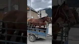 Архыз