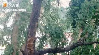 COMO A NATUREZA É LINDA