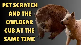 PET SCRATCH AND THE OWLBEAR CUB AT THE SAME TIME ACHIEVEMENT