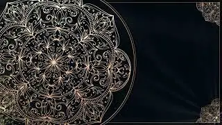 No Copyright Motion Graphics | Floral Corner Background Video Loops |