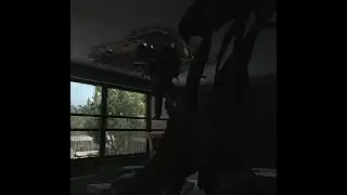 1 VS 3 TARKOV FUNNY EDITITON