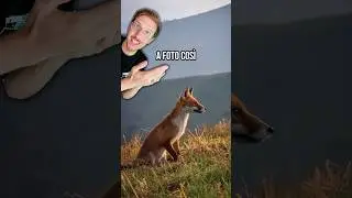 3 consigli per MIGLIORARE le tue FOTO 📸