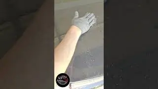 Absolute BEST Way to Remove PAINT OVERSPRAY #shorts #asmr #detailing #detail #fyp