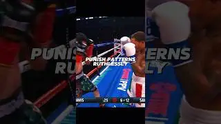 Perfect Uppercut - Gervonta Tank Davis