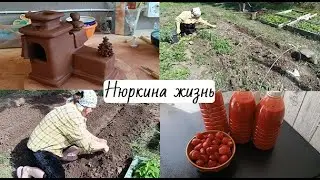 Высадила землянику // Собираю ягоды // Делаю первые заготовки //  // Запустила огород // Керамика