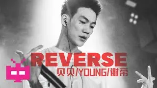🔥贝贝/YOUNG/谢帝 -《Reverse》LYRIC VIDEO