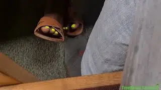 Black Girl Shaking Feet Footsie