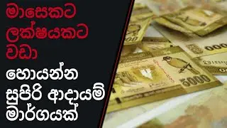 how to start part time job in sinhala|Free part time job sinhala|Free e money job sinhala|E money