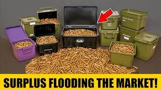 Leaked Documents: The REAL Reason Ammo Prices Are CRASHING!