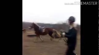 Весуня снова на кругу ^^