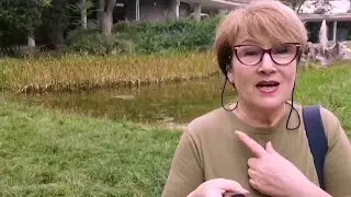 330...День неудач... но итог вкусный.