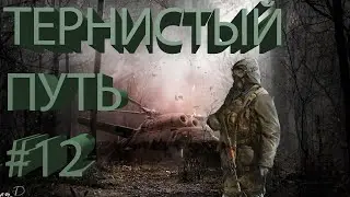 Прохождение Stalker Тернистый Путь #12