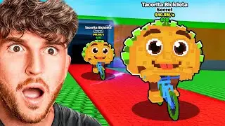 New BRAINROTS + TACO TUESDAY ADMIN ABUSE!