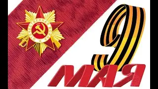 Ника в школе котов и собак! Но сегодня 9 мая! Всех с праздником Великой победы!