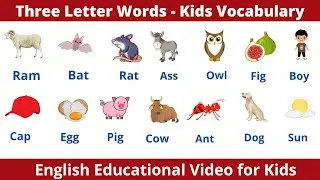 Three Letter Words | 3 Letter Words | Pre School Learning For Kids | Learn English