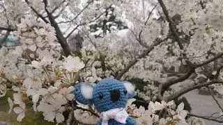 Amigurumi - Aventura de NomNom