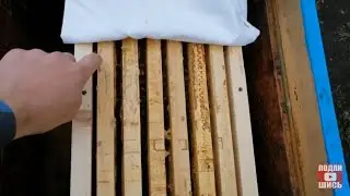 ONE OF THE WAYS TO GOOD WINTERING OF BEES is ventilation in the hive in winter.