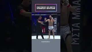 Put the evil brothers in their place!