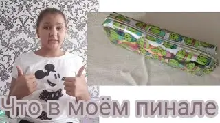 Что в моём пинале/Back to School/Снова в школу