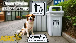 Desafio 10 em 7 - NECESSIDADES NO LOCAL CORRETO