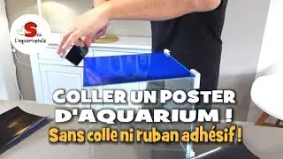 Comment coller un poster d'aquarium sans colle ni ruban adhésif 👍