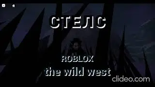 СТЕЛС вилд вест The wild west