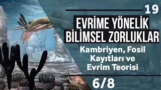 Kambriyen, Fosil Kayıtları ve Evrim Teorisi 6/8 (Türkçe Altyazılı)