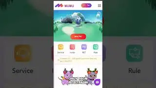 Mumu pet обзор