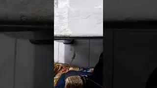 tidak sengaja terekam kamera#shorts