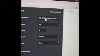How to Print to PDF