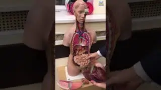 Видео-экскурсия по ЕГЭ-центру 