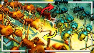 Epic Final Battle Between Two HUGE Empires | Empires of the Undergrowth