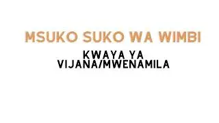 Msuko suko wa wimbi