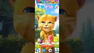 SHORTS TALKING GINGER #251