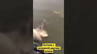 Хотели с ночевкой,удочки взяли