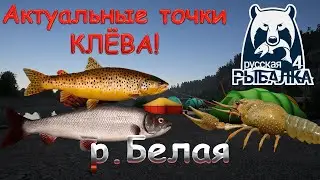 Current fishing spots on the Belaya River. Current as of October 20, 2025. Russian Fishing 4.