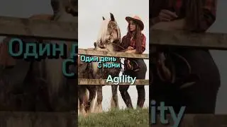 Аджилити день