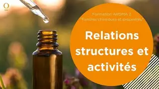 Aroma 2 / Partie 2 (sur 11) / Relations structures et activités