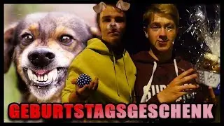 DAS Geschenk für Luca!
