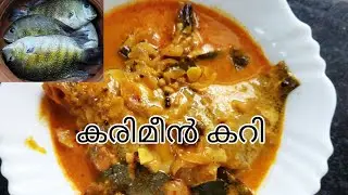 karimeen curry l നാടൻ കരിമീൻ കറി l kerala style l thaninadanpachakam / nadan style