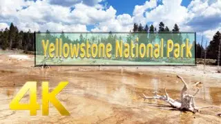 Yellowstone National Park - 4K | Scenery